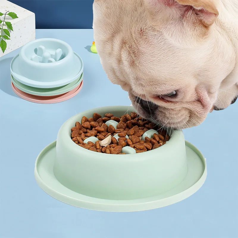 Pet Slow Food Bowl - Anti-choking