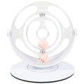 Cat Turntable Educational Toy